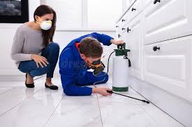 Professional Pest Control in Golden Valley, AZ